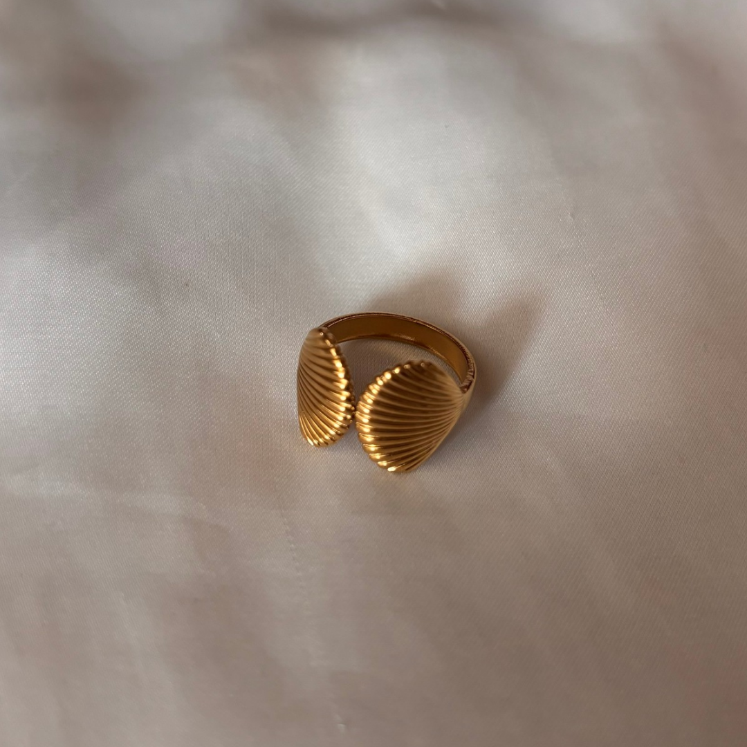 Anillo Concha