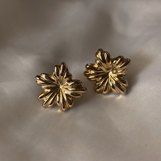 Aretes Lilis