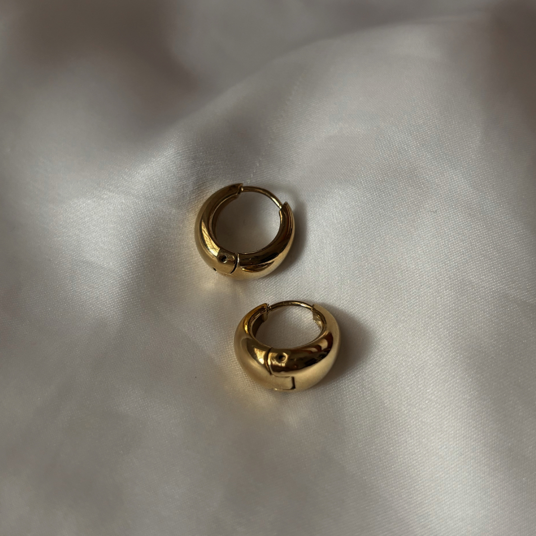 Aretes Anahí