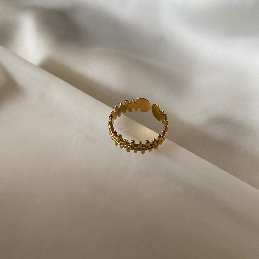 Anillo Alpina