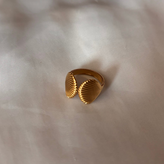 Anillo Concha