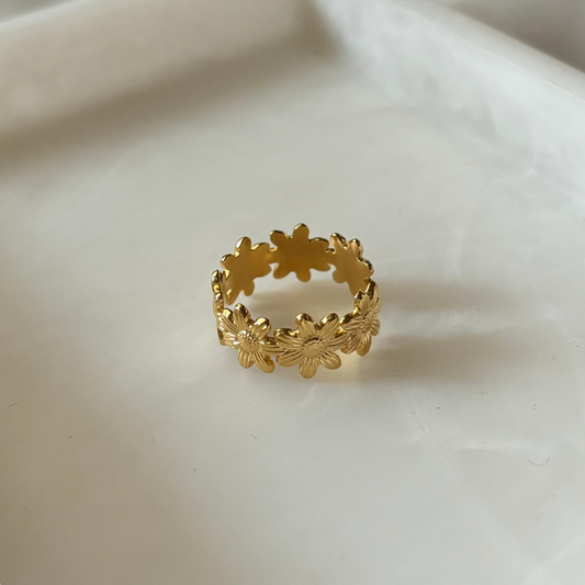 Anillo Gayuba