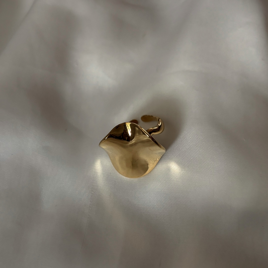 Anillo Espejo
