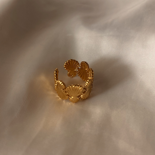 Anillo Conchitas